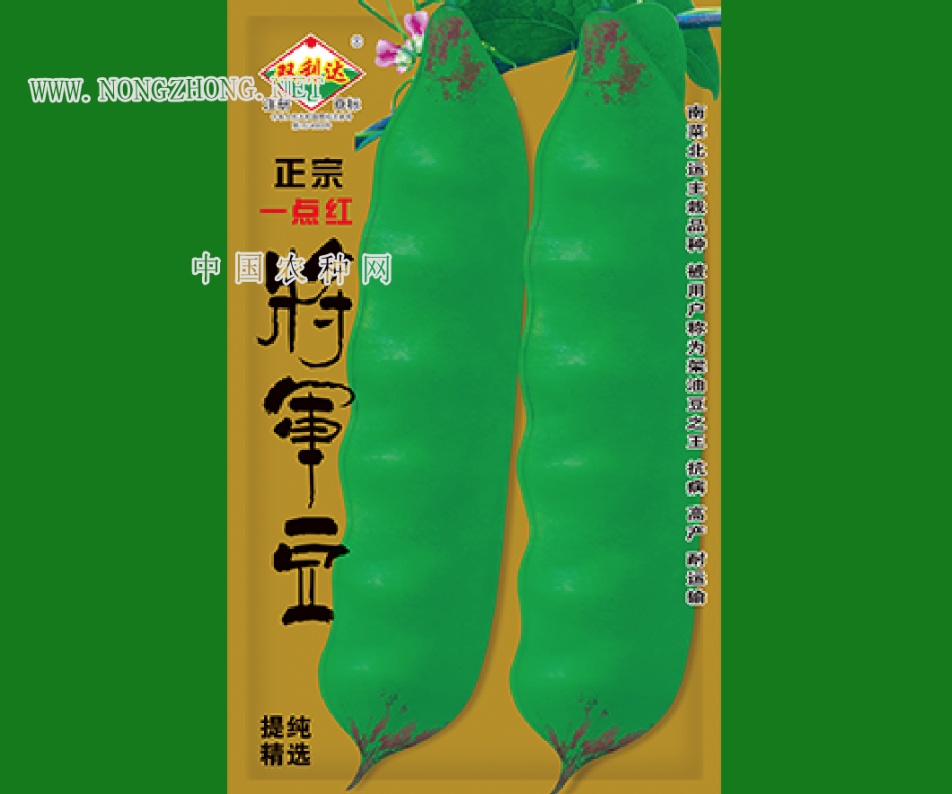 正宗一点红将军豆